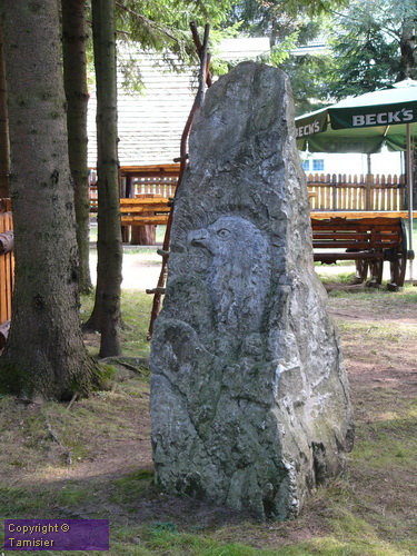 2008-09-01 13-08-56_1.JPG - 2008-RO>Poiana Brasov